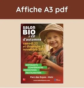 a3 pdf