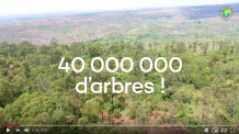 Ecosia, le moteur de recherche qui plante des arbres